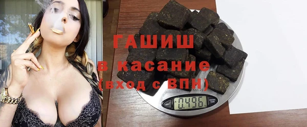стаф Алзамай