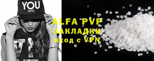 стаф Алзамай