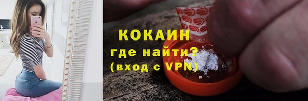 стаф Алзамай