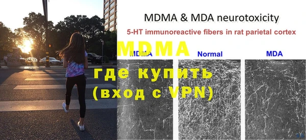 гидра Надым