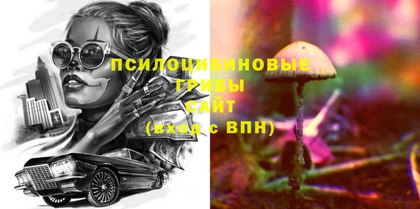 дурь Алексин