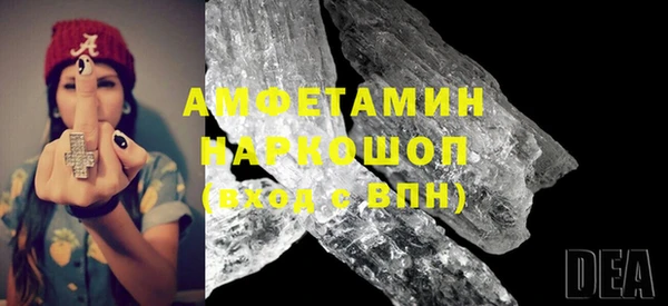 стаф Алзамай