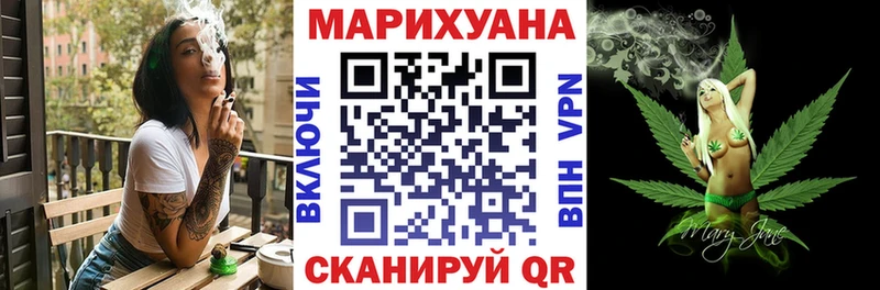 Конопля сатива  Сосновка 